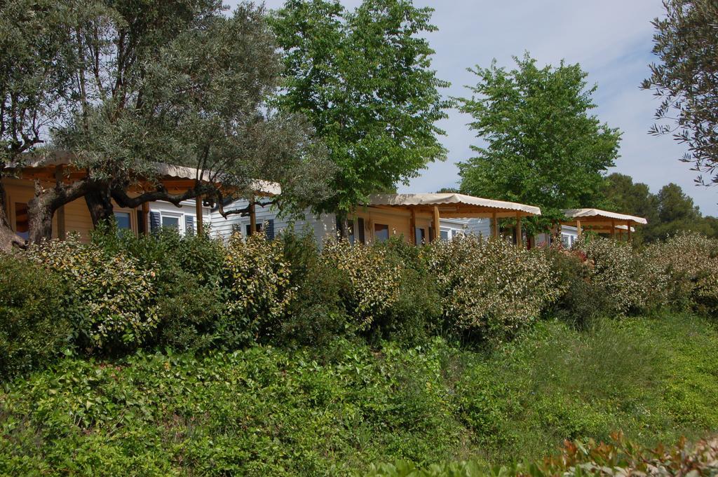 Camping Terra Alta Bot Εξωτερικό φωτογραφία