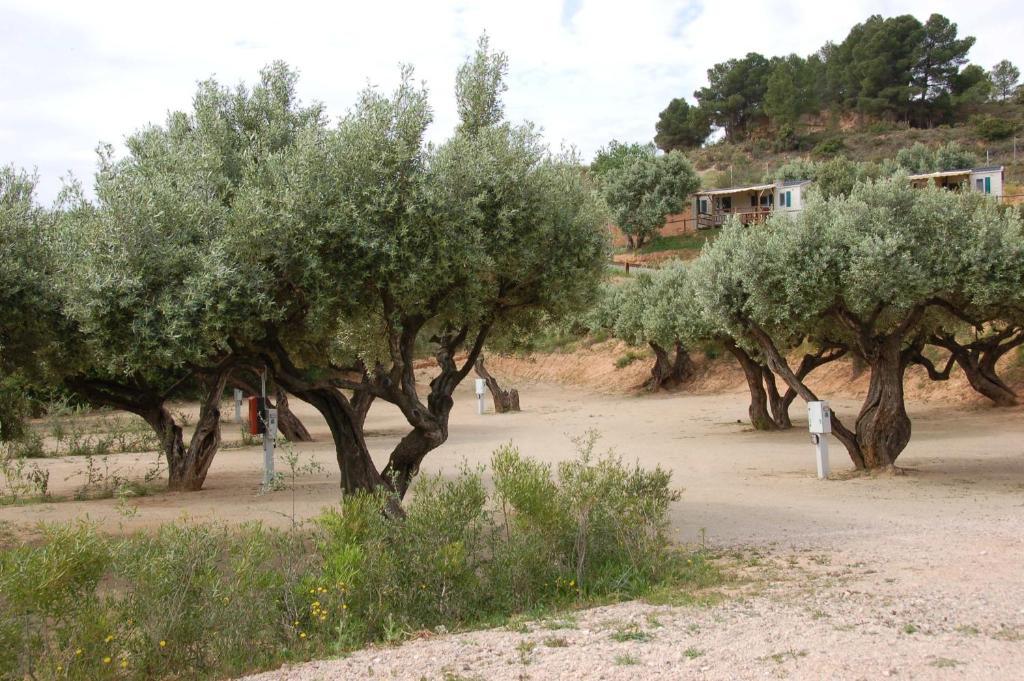 Camping Terra Alta Bot Εξωτερικό φωτογραφία