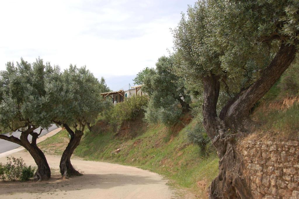 Camping Terra Alta Bot Εξωτερικό φωτογραφία