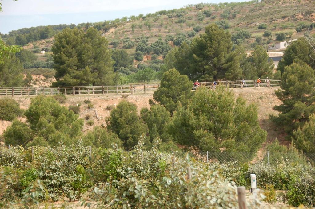 Camping Terra Alta Bot Εξωτερικό φωτογραφία