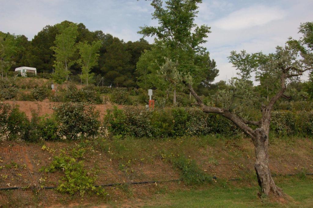Camping Terra Alta Bot Εξωτερικό φωτογραφία